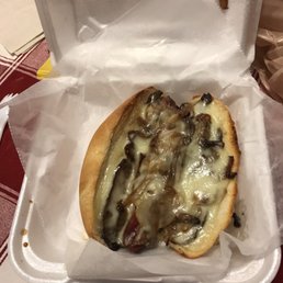 Bison Dog