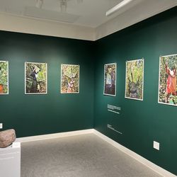 The Umbrella Arts Center - Lobby gallery