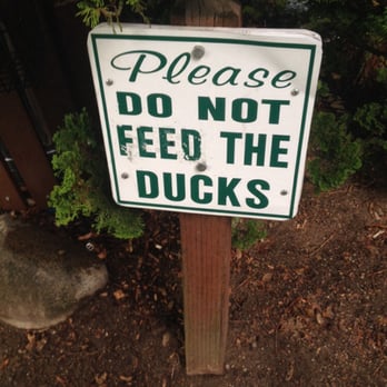 Lithia Park - Really?  That sucks. - Parks Near Me - Ashland, Oregon