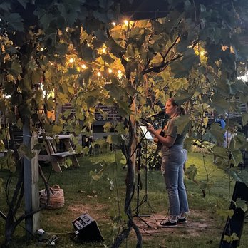 Sandhill Crane Vineyards - Live music outside - Wineries Near Me - Jackson, Michigan