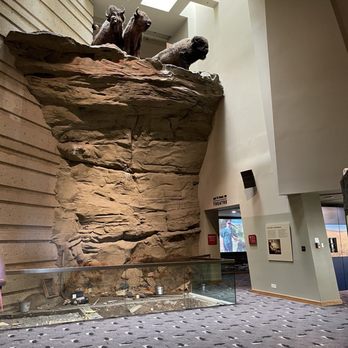 Head-Smashed-In Buffalo Jump Interpretive Centre - Buffalo about to jump off the cliff - Museums Near Me - Fort Macleod, Alberta Head-Smashed-In Buffalo Jump Interpretive Centre - Buffalo about to jump off the cliff - Museums Near Me - Fort Macleod, Alberta