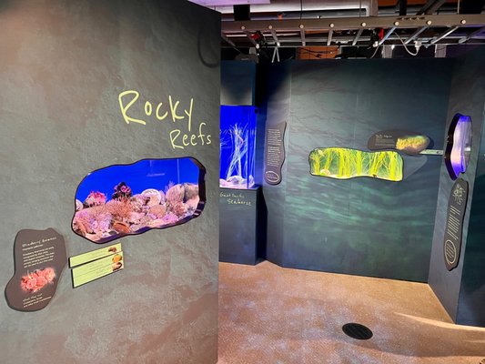 Santa Barbara Museum of Natural History Sea Center by null