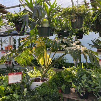 Family Tree Nursery - Nurseries & Gardening Near Me - Overland Park, Kansas Family Tree Nursery - Nurseries & Gardening Near Me - Overland Park, Kansas