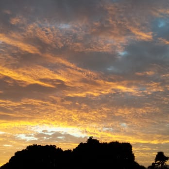 Kaneohe Town - You should see this in person. ..breath taking. .. - Local Flavor Near Me Kaneohe Town - You should see this in person. ..breath taking. .. - Local Flavor Near Me