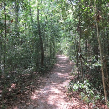 Alfred A Ring Park - Parks Near Me - Gainesville, Florida