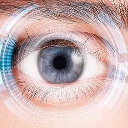 Zebrowski Eye Care - Untitled