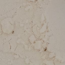 Bugs in a brand new bag of flour