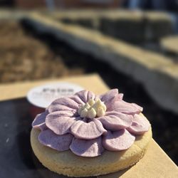 PaleoPrimal Sweets