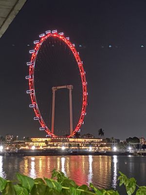 Singapore Flyer by null