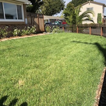 Maestro Landscapers - Yard work and maintenance - Landscaping Near Me Maestro Landscapers - Yard work and maintenance - Landscaping Near Me