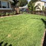 Photo of Maestro Landscapers