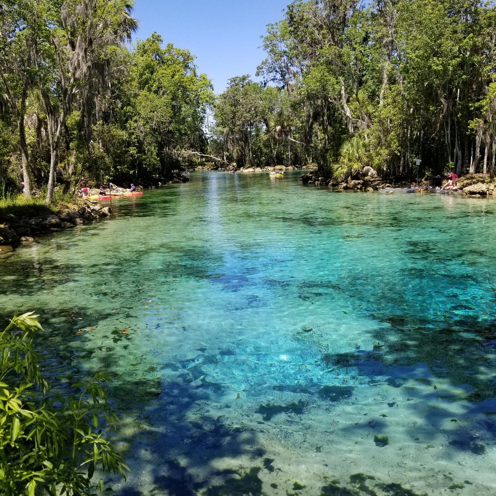 Three Sisters Springs - Tours Near Me - Crystal River, Florida Three Sisters Springs - Tours Near Me - Crystal River, Florida