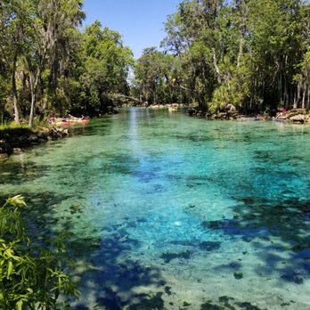 Three Sisters Springs - Tours Near Me - Crystal River, Florida Three Sisters Springs - Tours Near Me - Crystal River, Florida