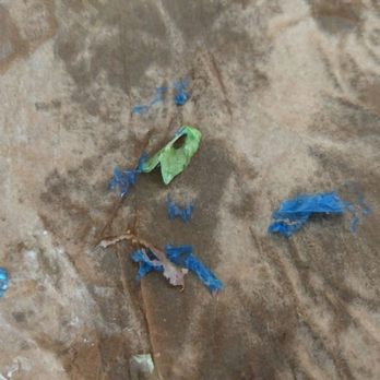 Arby's - Bits of blue plastic from the Arby's roast beef gyro meat - Fast Food Near Me - Durham, North Carolina