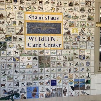 Stanislaus Wildlife Care Center - What a lovely yet potentially tear-jerking creation... - Animal Shelters Near Me - Hughson, California Stanislaus Wildlife Care Center - What a lovely yet potentially tear-jerking creation... - Animal Shelters Near Me - Hughson, California