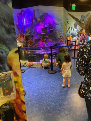 SEA LIFE San Antonio by null