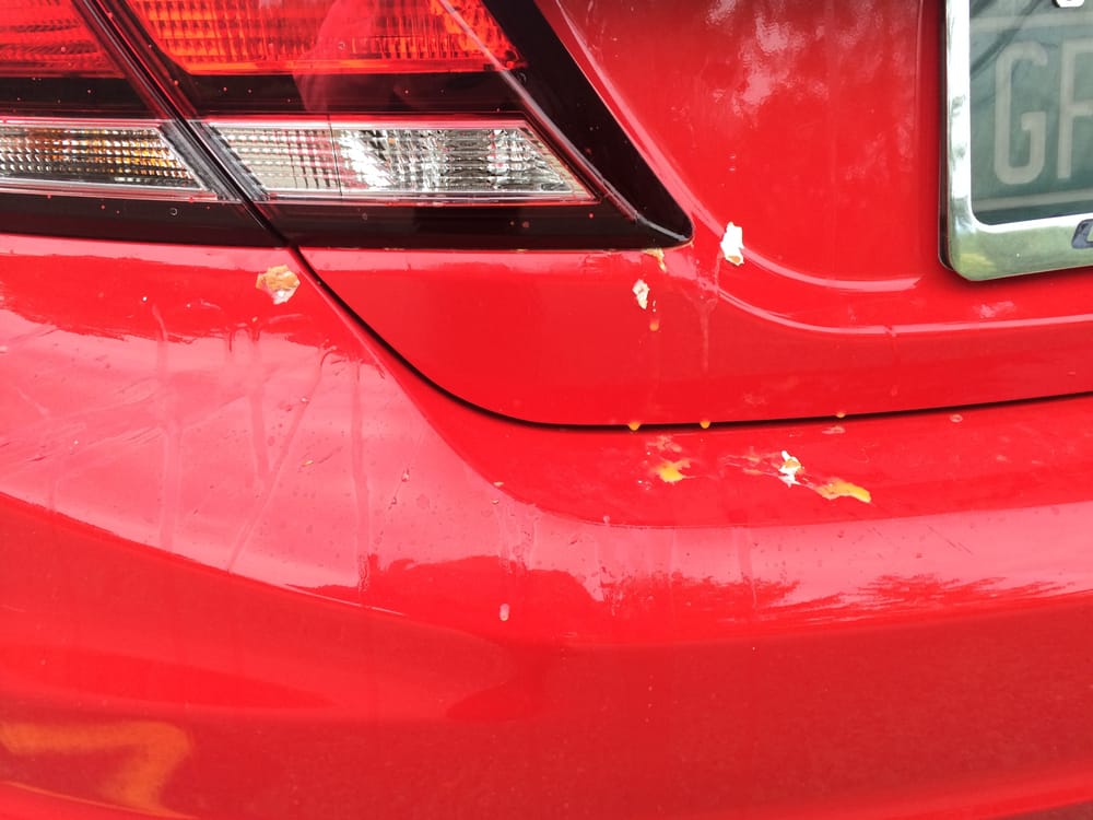 WINCHESTER PLACE 7 douglas dr, Colchester, Vermont Apartments