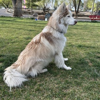 VEG ER for Pets - Emergency Pet Hospital Near Me - Oak Brook, Illinois