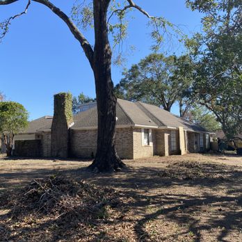A Cut Above Tree Care - after - Tree Services Near Me A Cut Above Tree Care - after - Tree Services Near Me