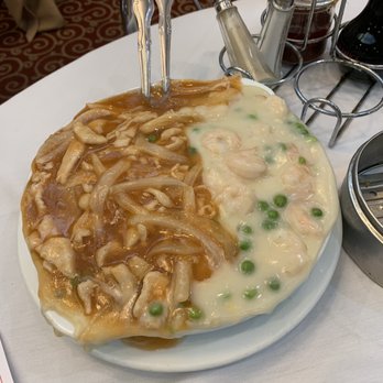 Ocean Harbor - Ying Yang fried rice - Dim Sum Near Me - Philadelphia, Pennsylvania Ocean Harbor - Ying Yang fried rice - Dim Sum Near Me - Philadelphia, Pennsylvania