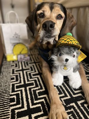 Staypineapple, An Elegant Hotel, Union Square San Francisco by null