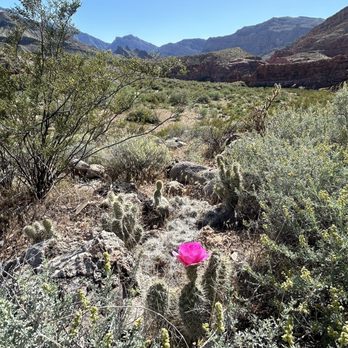 Virgin River Gorge - Love - Landmarks & Historical Buildings Near Me - Littlefield, Arizona Virgin River Gorge - Love - Landmarks & Historical Buildings Near Me - Littlefield, Arizona
