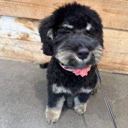 Love your first look, Mochi Love your first look, Mochi
