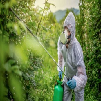 Total Exterminating - Pest Control Near Me - Corona, California