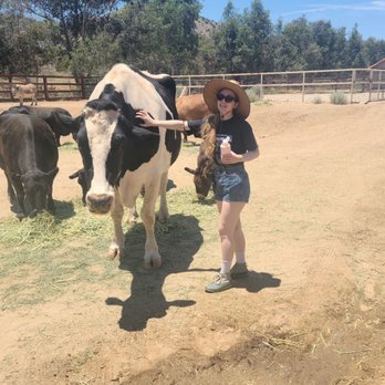 Farm Sanctuary - Animal Shelters Near Me - Acton, California Farm Sanctuary - Animal Shelters Near Me - Acton, California
