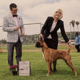 Best of Breed Best of Breed