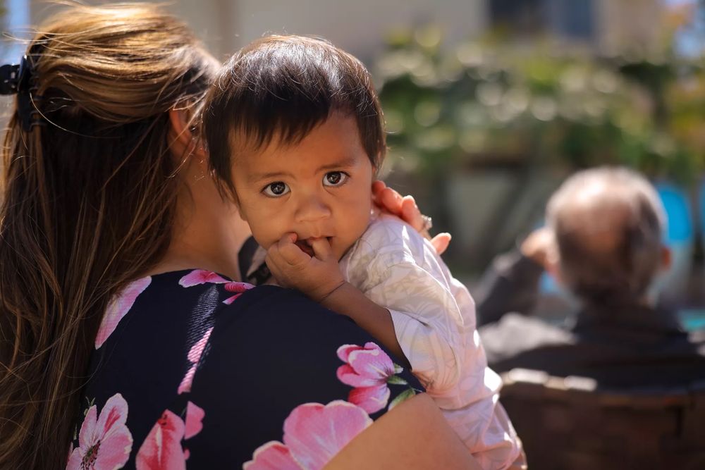 Law Offices of Marisa L Freese - divorce attorney in San Diego, CA