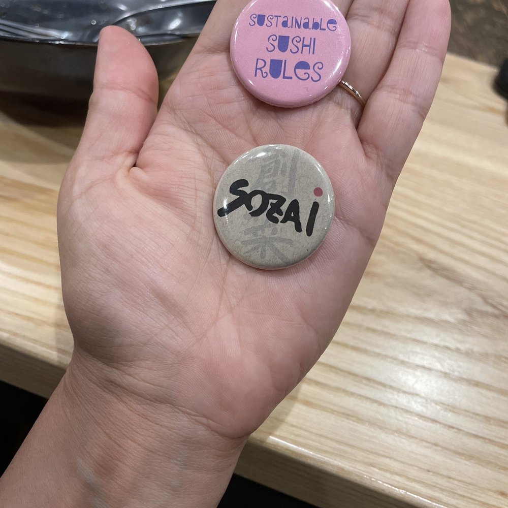 Sozai - Fun pins! - Japanese Near Me - Clawson, Michigan