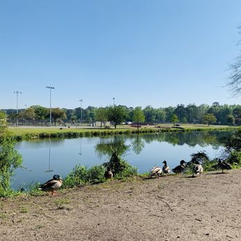 Lake Mayer Park - Lake view. - Parks Near Me - Savannah, Georgia