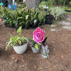 Mandarin Garden Club