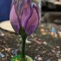 Photo of Paint n’ Sip