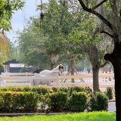 Elysian Stables Miami