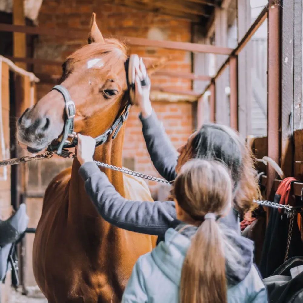 Horseback Riding & Stables at Graves Mountain Farm & Lodges - equestrian in Syria, VA