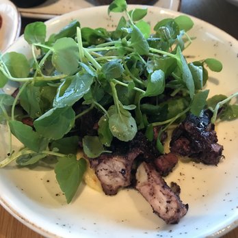 The Squires Landing - Octopus - Brewpubs Near Me - The Rocks, NSW The Squires Landing - Octopus - Brewpubs Near Me - The Rocks, NSW