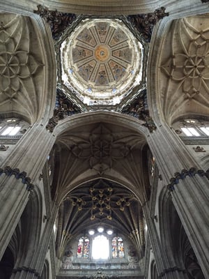 Catedral Vieja de Santa María de la Sede de Salamanca by null