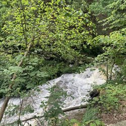 Letchworth State Park - Wolf Creek