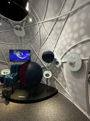 University of Michigan Museum of Natural History by null