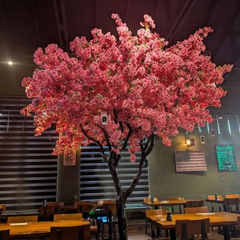 Sushi One Spot - Sushi Bars Near Me - Montclair, California Sushi One Spot - Sushi Bars Near Me - Montclair, California