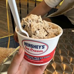 Double scoop