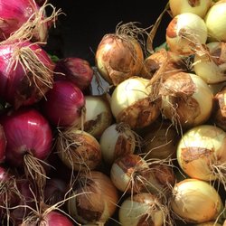 StefanFarms - Onions red, and usually white and yellow