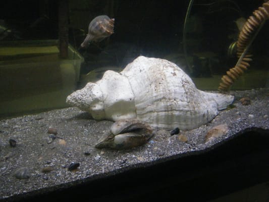 Beavertail Aquarium Updated July 2024 25 Photos Beavertail Rd