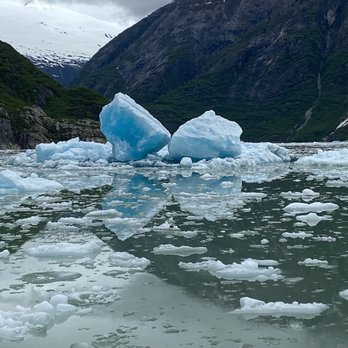 Adventure Bound Alaska - Tracy Arm Fjord - Travel Services Near Me - Juneau, Alaska Adventure Bound Alaska - Tracy Arm Fjord - Travel Services Near Me - Juneau, Alaska