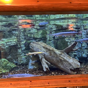 Bass Pro Shops - Outdoor Gear Near Me - Kansas City, Kansas