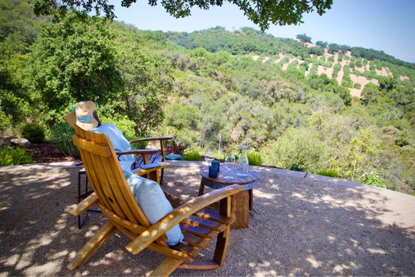 DAOU Vineyards by null