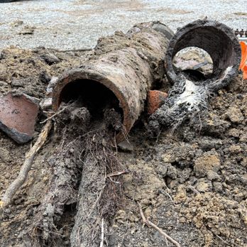 317 Plumber - If you've been told you have roots in your sewer line, 317 Plumber offers a FREE second opinion. - Plumbing Near Me - Fishers, Indiana 317 Plumber - If you've been told you have roots in your sewer line, 317 Plumber offers a FREE second opinion. - Plumbing Near Me - Fishers, Indiana