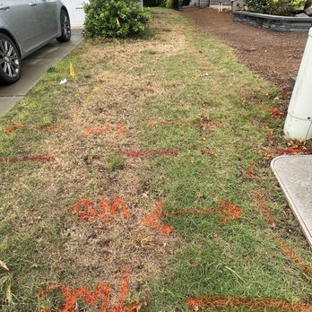 King Green - Lawn Services Near Me - Concord, North Carolina King Green - Lawn Services Near Me - Concord, North Carolina